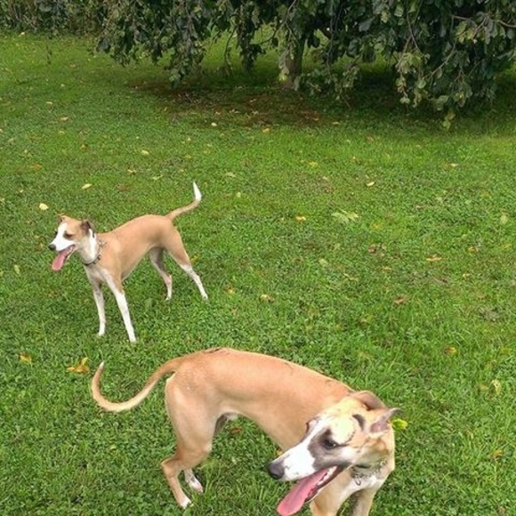 Meet your Posher, John - Picture 1 of 1